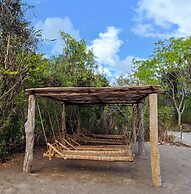 Room-mida Creek Eco Camp - Lodge