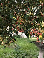 Room-banos Apartment With 2 Rooms and sw