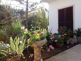 Villa Porto Big House Close The Sea