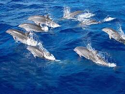 Spacious Apartment With Jacuzzi and Pool Access