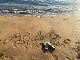 Spacious Apartment With Jacuzzi and Pool Access