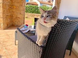 Residence Solaria - 1 - With Mini-pool