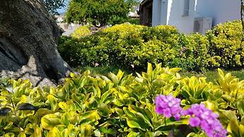 Residence Solaria - 3 -