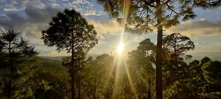 Majkhali Woods, Ranikhet, By Himalayan Eco Lodges