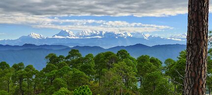 Majkhali Woods, Ranikhet, By Himalayan Eco Lodges