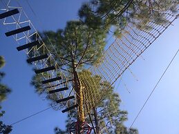 Majkhali Woods, Ranikhet, By Himalayan Eco Lodges