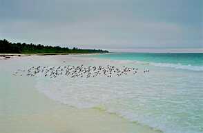 Private oceanfront house - lagoon access