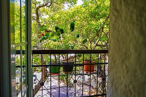 Hotel casa del hidalgo