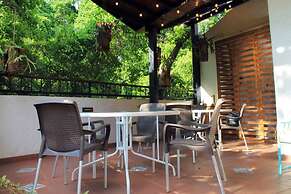 Hotel casa del hidalgo