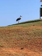 Villa 46 Vipingo Ridge