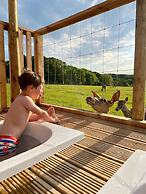 Luxury Safari Lodge Surrounded by Deer!! 'roe'