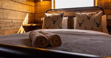 Luxury Safari Lodge Surrounded by Deer!! 'roe'