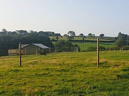 Luxury Safari Lodge Surrounded by Deer!! 'roe'