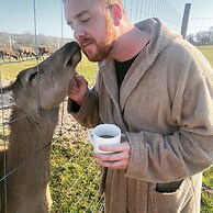 Luxury Safari Lodge Surrounded by Deer!! 'roe'