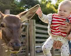 Luxury Safari Lodge Surrounded by Deer!! 'roe'