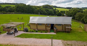 Luxury Safari Lodge Surrounded by Deer!! 'roe'
