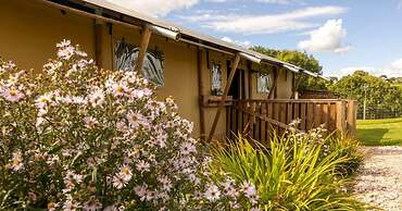 Luxury Safari Lodge Surrounded by Deer!! 'roe'