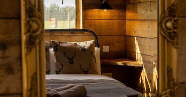 Luxury Safari Lodge Surrounded by Deer!! 'roe'