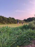 Luxury Safari Lodge Surrounded by Deer!! 'roe'