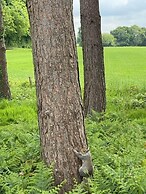 Hollicarrs - Wildflower Lodge