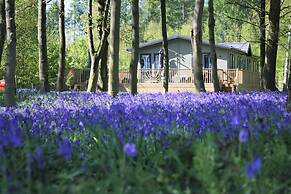 Hollicarrs - Wildflower Lodge