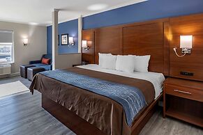 Comfort Suites St. Louis - Sunset Hills