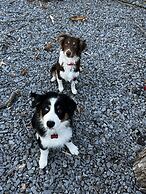 Bear's Mountaintop Views 3 Bedroom Chalet by RedAwning