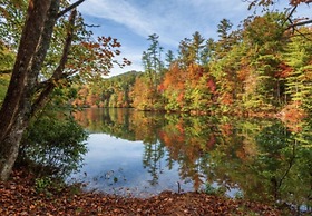 Bear's Mountaintop Views 3 Bedroom Chalet by RedAwning