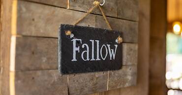 Luxury Safari Lodge Surrounded by Deer!! 'fallow'