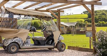 Luxury Safari Lodge Surrounded by Deer!! 'fallow'