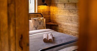 Luxury Safari Lodge Surrounded by Deer!! 'fallow'