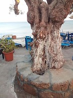 Beach Front Apartments