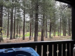 Timbers 6 Updated and Pet-Friendly, Private Jacuzzi, Private Garage by