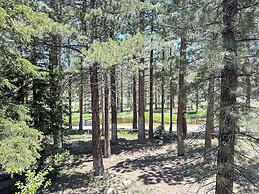 Timbers 6 Updated and Pet-Friendly, Private Jacuzzi, Private Garage by