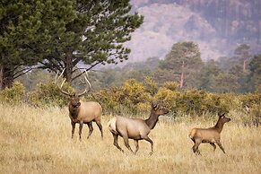 Tranquility On The River Four -- Ev #6041 3 Bedroom Townhouse by RedAw