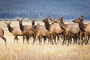 Tranquility On The River Four -- Ev #6041 3 Bedroom Townhouse by RedAw