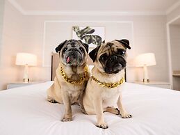 Fairmont Chicago at Millennium Park Gold Experience