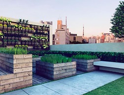 Charlie Oscar Freire