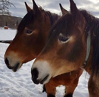 Liljekonvalj Cottage Overlooking the River Sauna