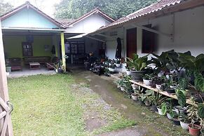 Homestay Wijaya Mulya