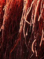 Mercure Krakow Fabryczna City