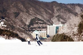 Sono Felice Vivaldi Park