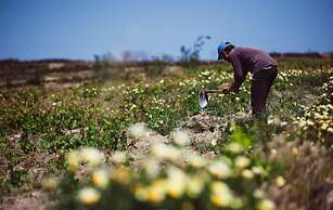 Santonero - The Philoxenia Project