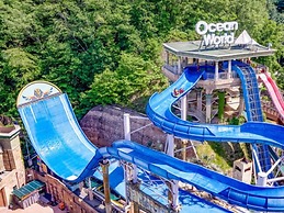 Sono Pet Clubs & Resorts VivaldiPark