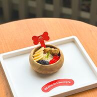 Sono Pet Clubs & Resorts VivaldiPark