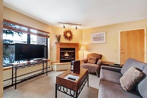 3 Bedroom Ski in Condo Only One Block From Historic Downtown, Shopping