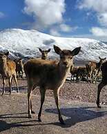 Cosy 2-bed House in Kinlochbervie