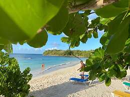 Great Palm View - Apartment 3 in Villa Coconut