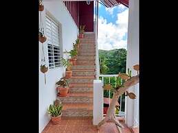 Great Palm View - Apartment 3 in Villa Coconut