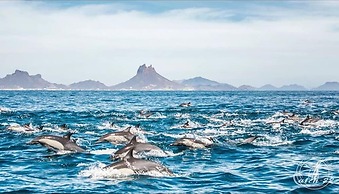 Big House Pool Grill, 4 Bedrooms 12 ppl AC Ocean View TV Wifi